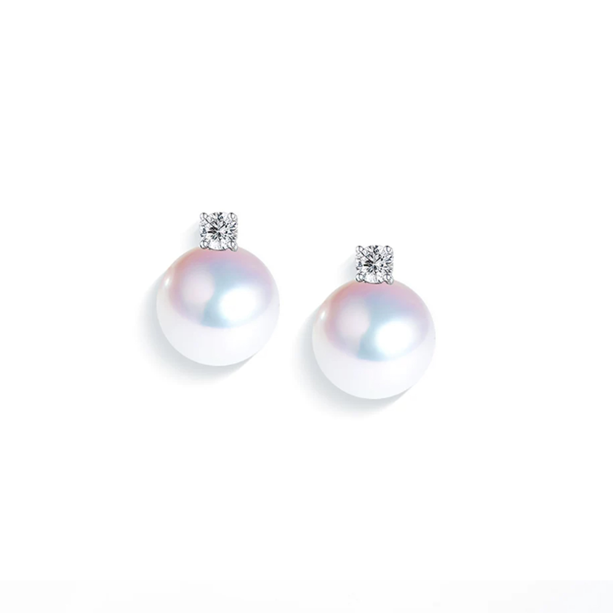 Akoya海水珍珠耳钉 Freshwater Pearl Earrings related product